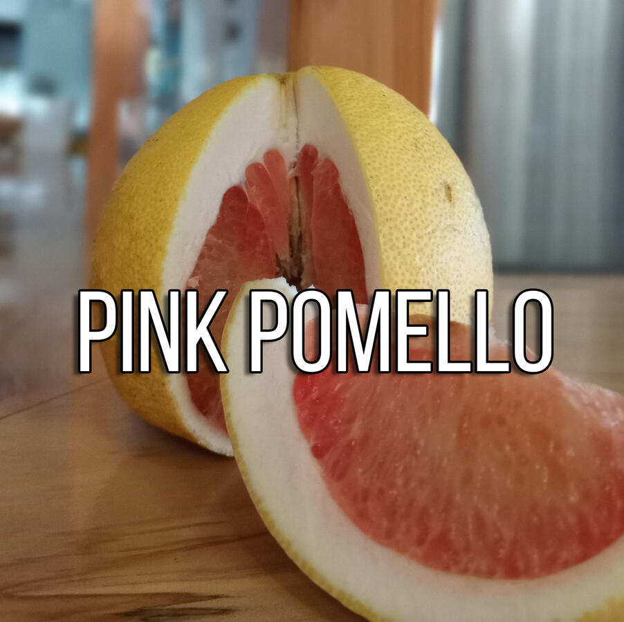 Pink Pomello Pink Pomello